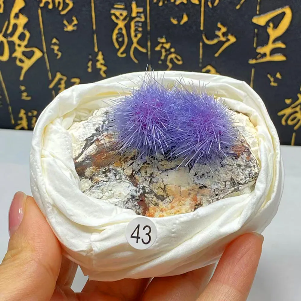 Индийский ззолит сырой камень образец минерала минеральный кристалл