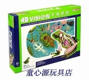 4D MASTER Puzzle Assembling toys Frog dissection assembled model 13.5cm*7cm*13cm free shipping