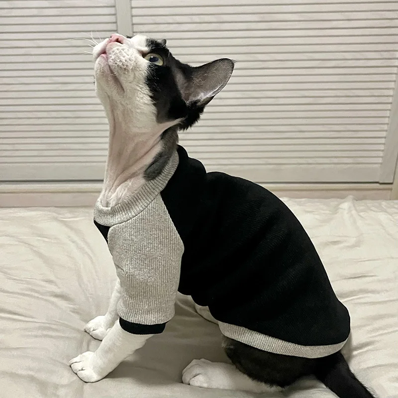 German Curly cat Spring Autumn  Hairless cat kitten clothes Sphynx Cat Outfits Resistant-Dirt licking Clothes for Cat Devon Rex