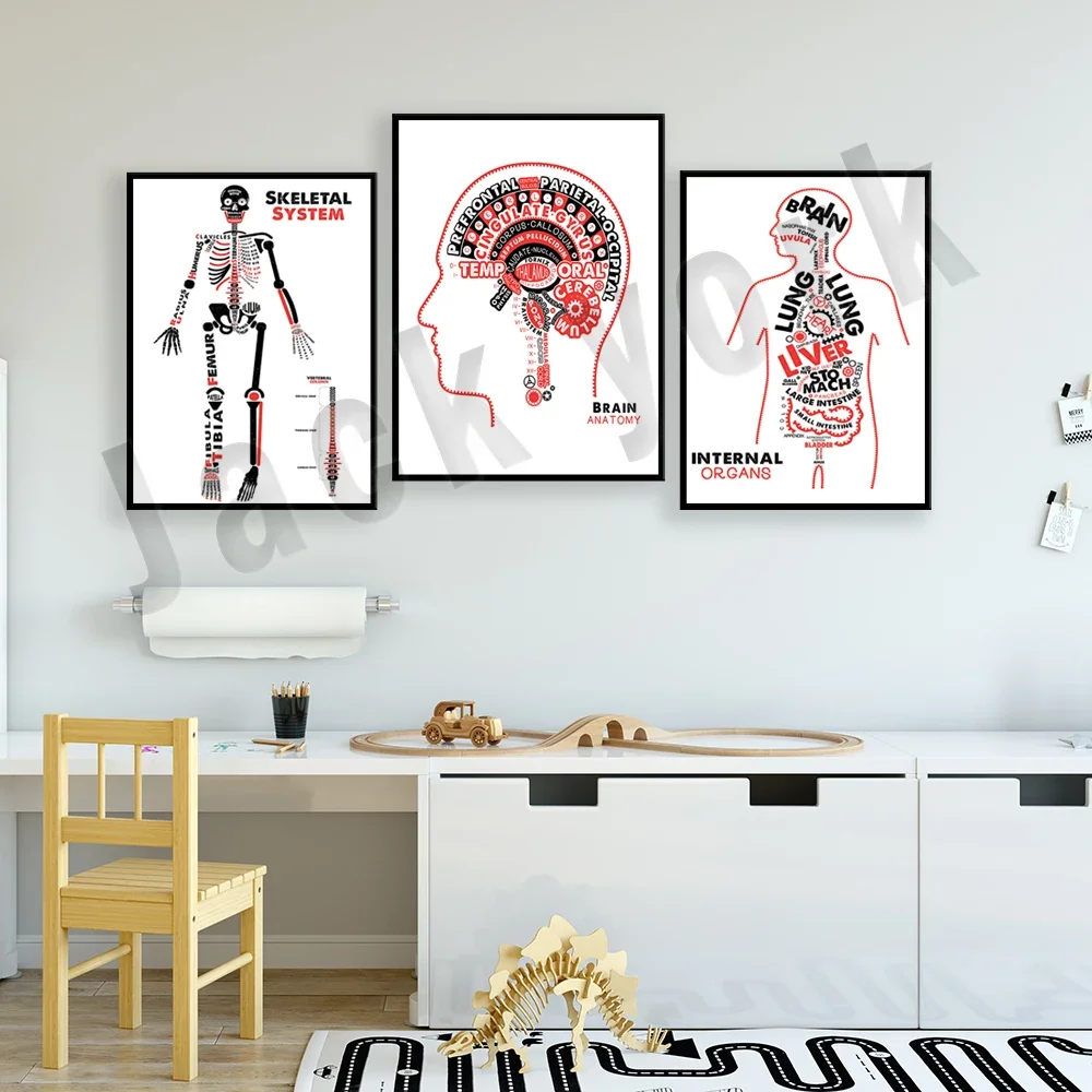 Внутренние органы анатомический плакат скелета человека типография мозга