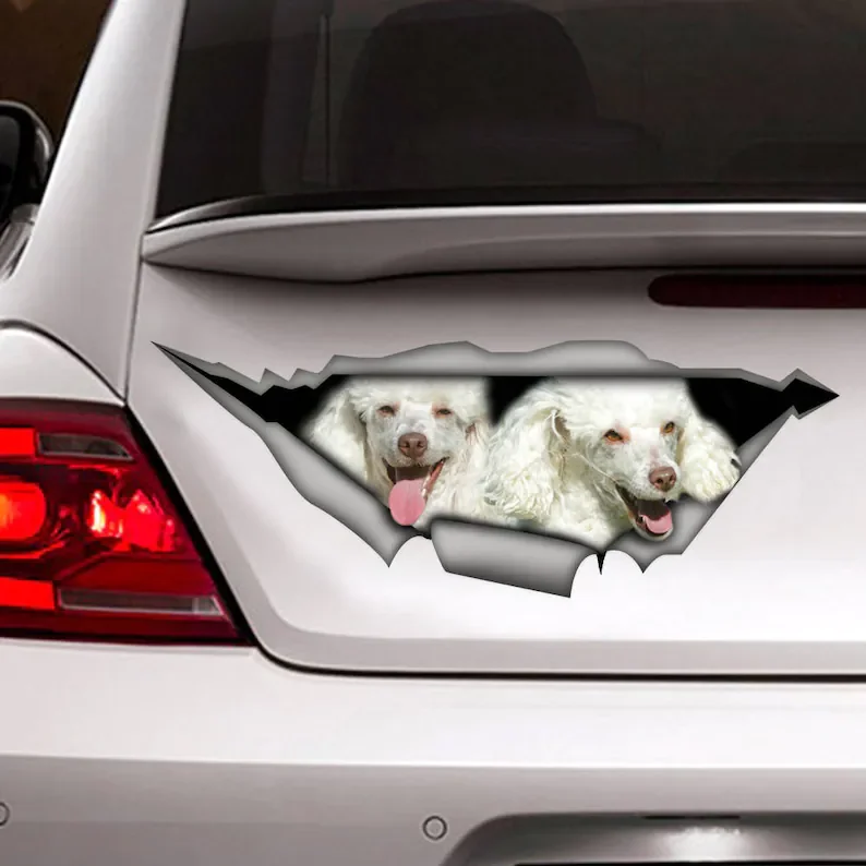 

Sticker, poodles car sticker , poodle decal, pet sticker