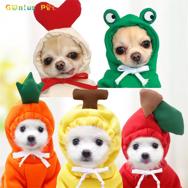 

Warm Dog Winter Clothes Cute Fruit Dog Coat Hoodies Fleece Dogs Costume Jacket For French Bulldog Chihuahua Hat Pet Saliva Towel