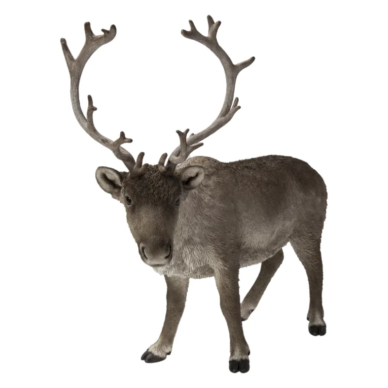 

REINDEER STANDING