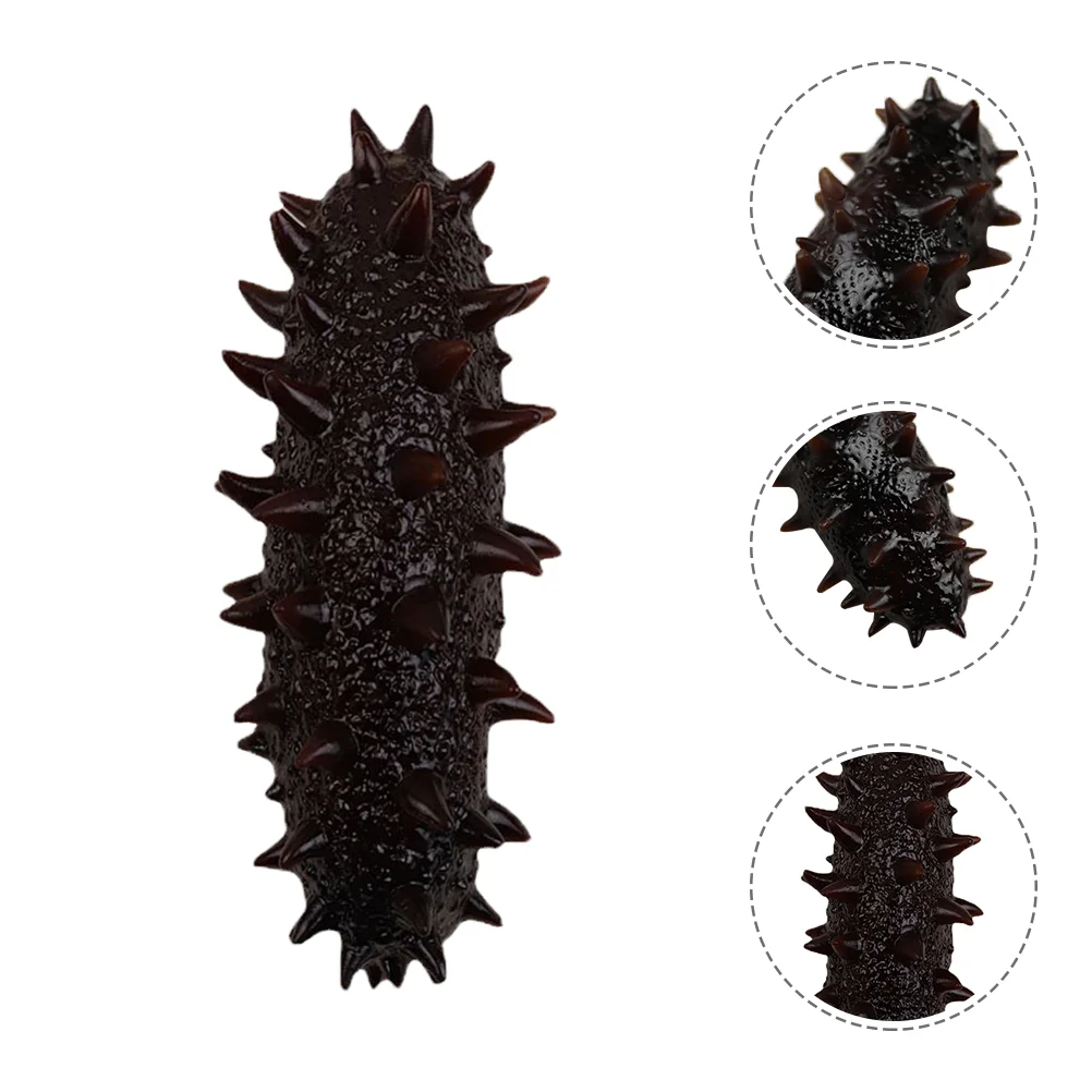 

Imitation Sea Cucumber Models Kid Educational Sea Slug Figurines Cognitive Models