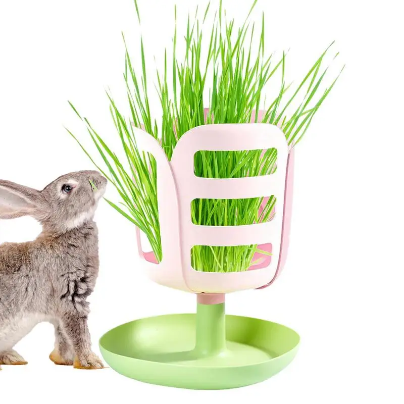 

Rabbit Hay Feeder Guinea Pig Feeding Rack Standing Hay Holder Small Animals Cage Accessories For Rabbits Chinchillas Hay Manage