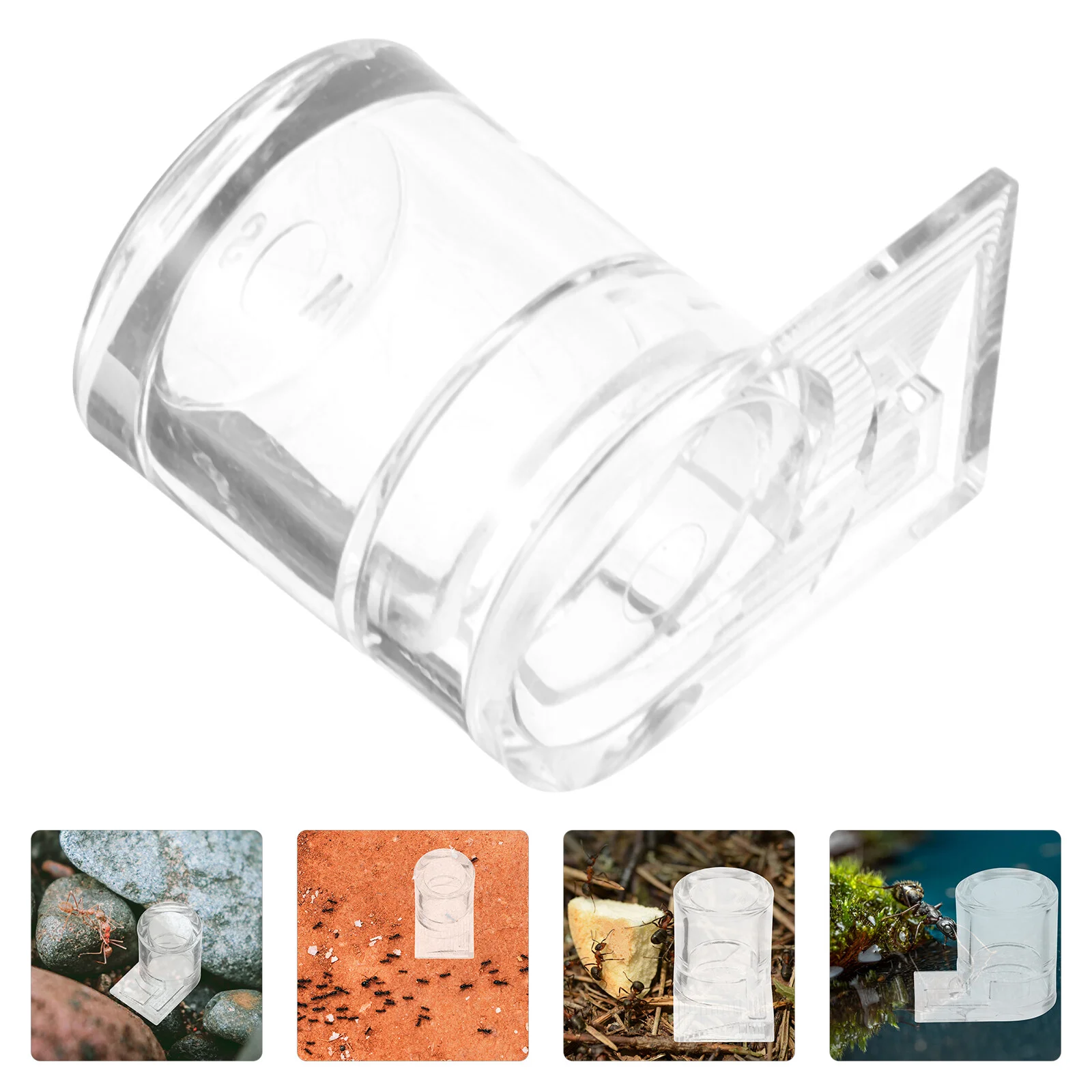 

Feeding Cup Ants Container Insect Nest Water Formicarium Feeder Habitat Visible Bowl Dealspet Supplies