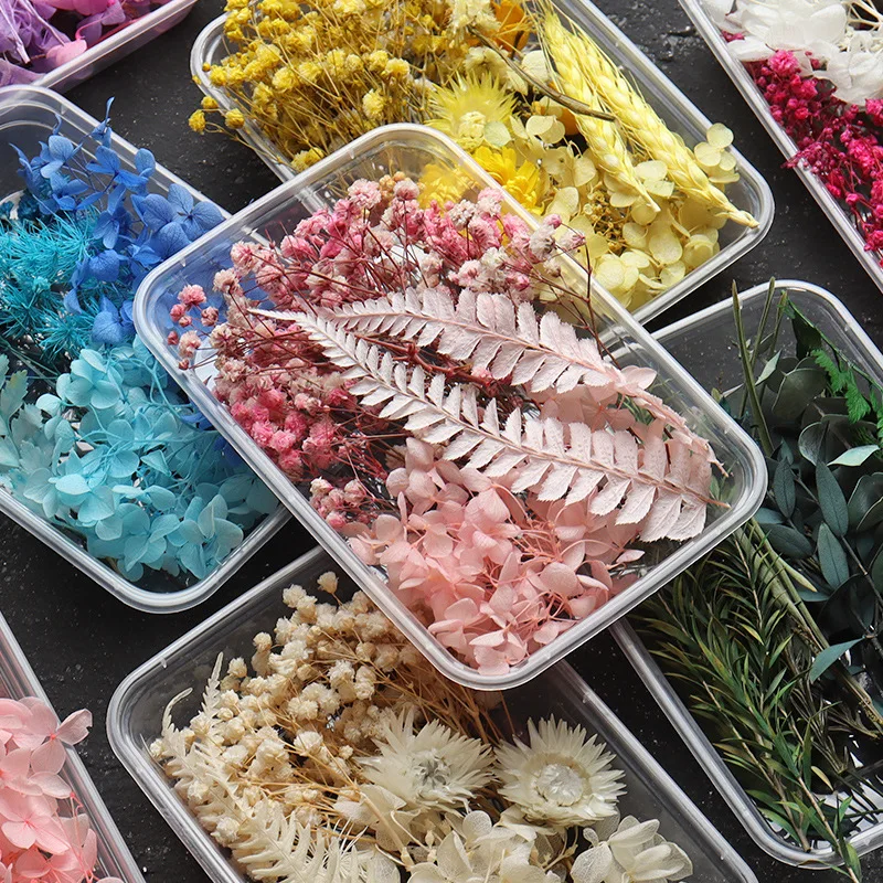 

1Box Dried Flowers Dry Plants for Epoxy Resin Casting Mold DIY Aromatherapy Candle Molds Crafts Tools Jewelry Making Accessories