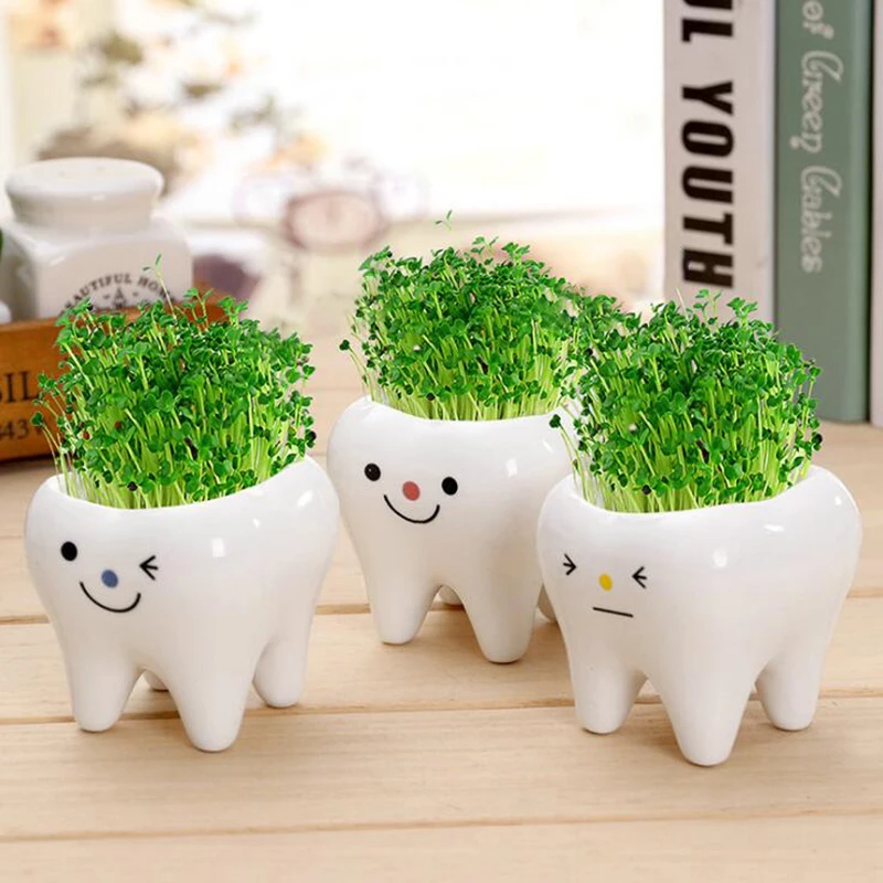 

1pc Ceramic Tooth Shape Flower Pot DIY Small Bonsai Flower Pot Home Decoration Gardening Accessories