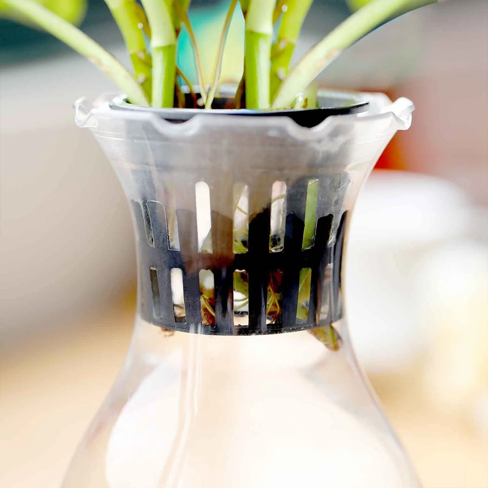 100 упаковок 2 36-дюймовых сетчатых чашек с прорезями широкий фильтр для губ сетка