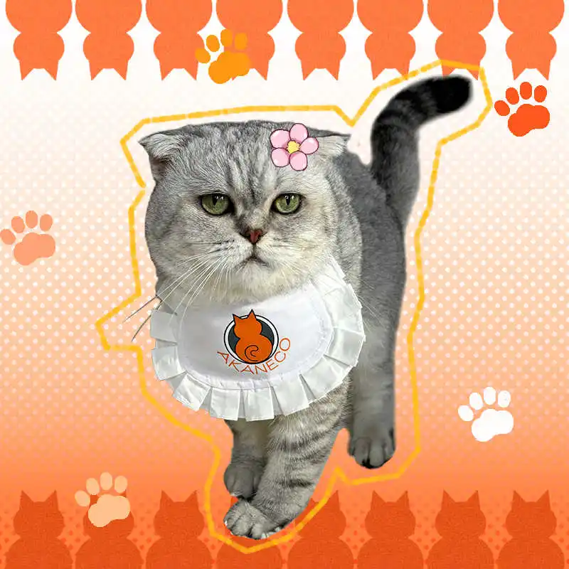 Аниме красная кошка рамен аканко бунзо домашняя Собака Кошка костюм для косплея