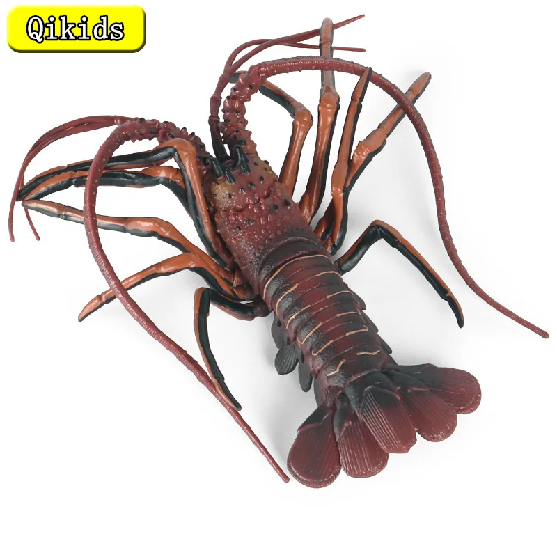 

Simulation Marine Animal Lobster Model Solid Australian Lobster Children's Cognitive Animal Toy Decoration Ornaments Hand-made