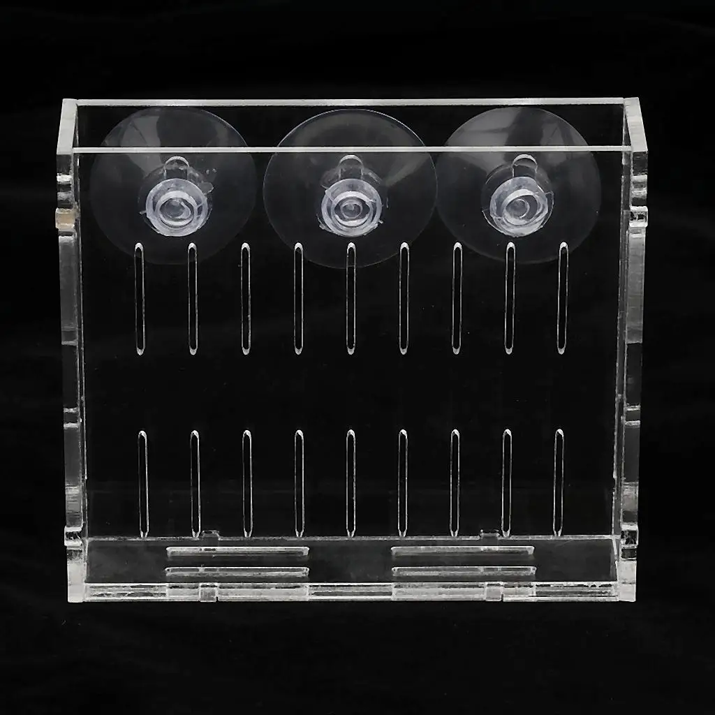 Акриловые семена растений подставка для чашки Glossostigma Hemianthus кореtrichoides