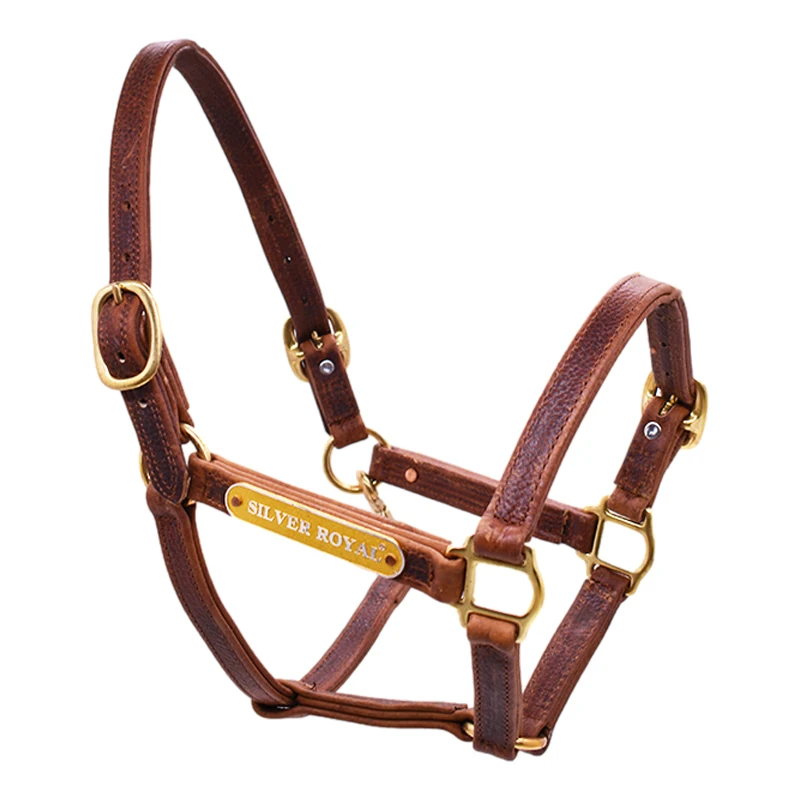 Equestrian halter silver royal halter horse equipment faucet leather buckle adjustment halter durable leather