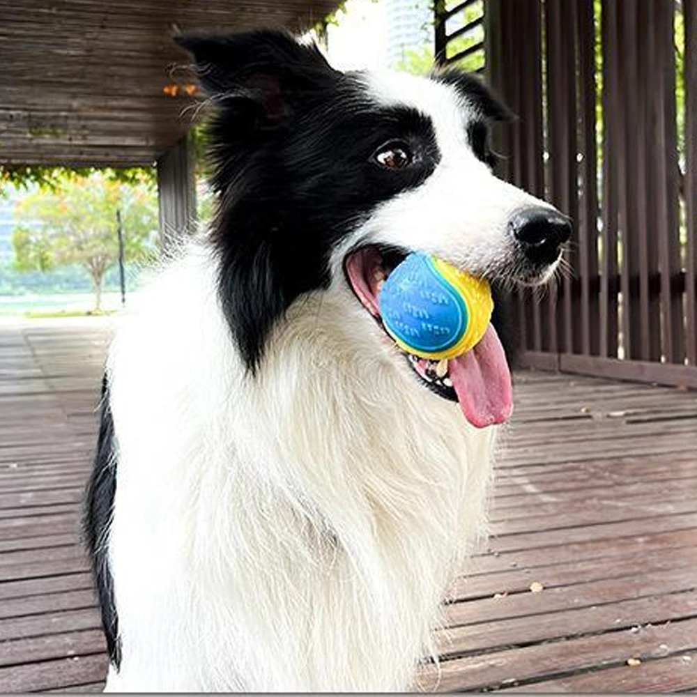 Dog Toy Rubber Ball Molars Bite-resistant Beef-flavored Elastic Ball To Prevent Dog From Destroying Things Dog Training Supply