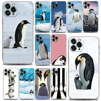 cute lovely penguin animal clear phone case for apple iphone 11 12 13 pro 7 8 se xr xs max 5 5s 6 6s plus soft silicone case