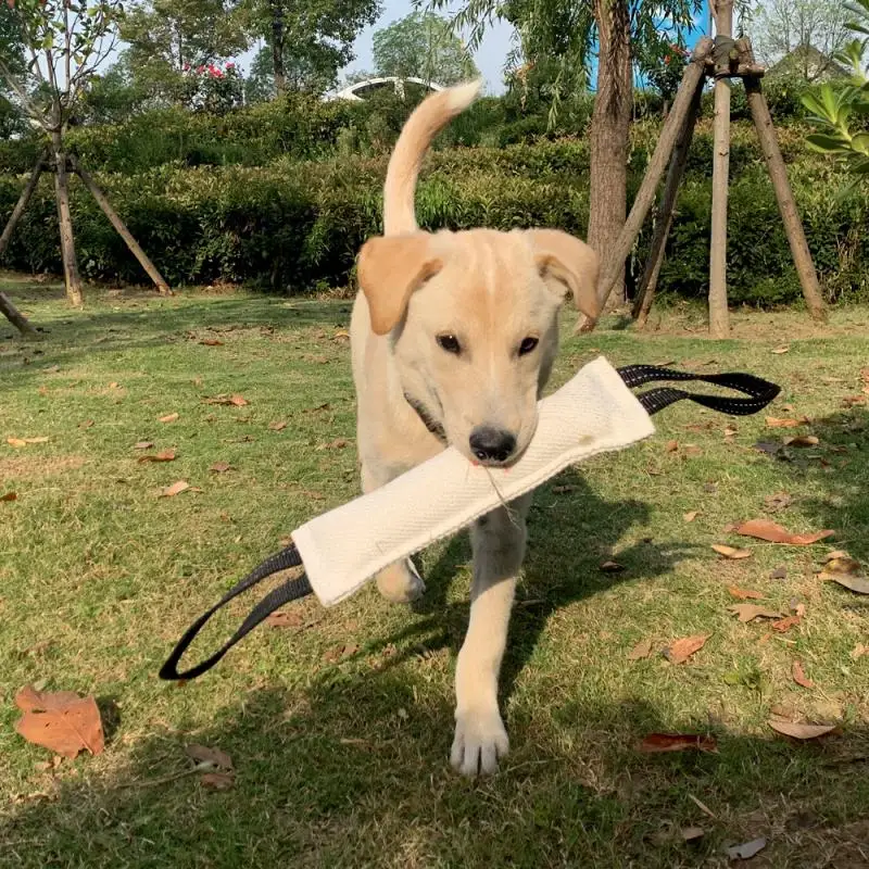 

Colorful Dog Tug Toy Dog Tough Jute Bite Pillow Durable Training Equipment From Puppy To Large Dogs Interactive Toy
