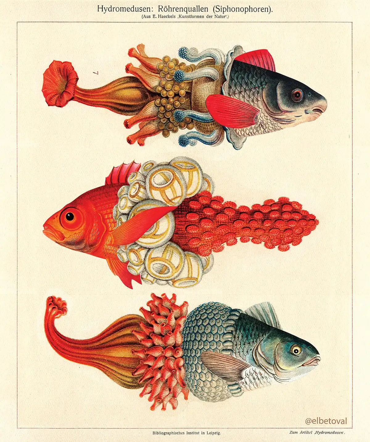 Картина на холсте с животными растениями рамкой птица рыба попугай Зеленый лист