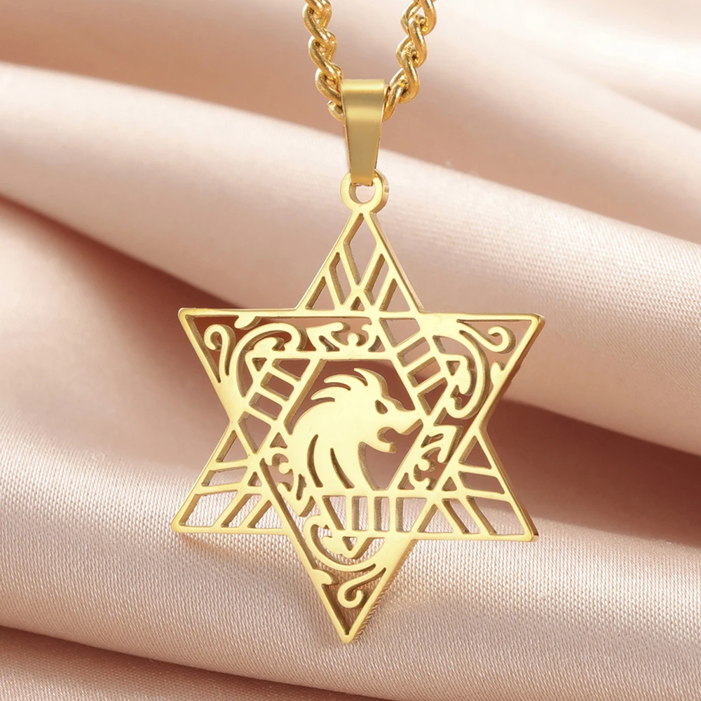 Фото Ожерелье с подвеской Dawapara Lion of Judah Magen Star of David, еврейская звезда, ожерелье с гексаграммой, защитный амулет из нержавеющей стали №4