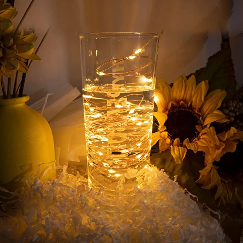 Рисунок 5 - Светодиодная гирлянда с питанием от батарейки