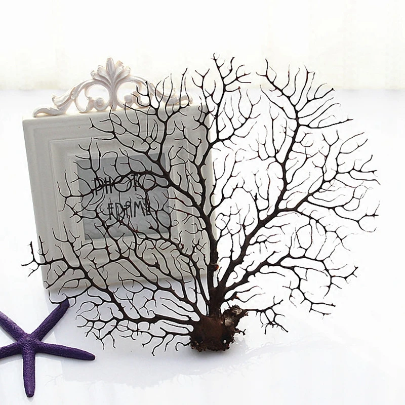 

Natural Real Dried Flower Coral Plant Tree Branch for Photo Frame Fish Tank Wedding Christmas Home Office Furniture Decor