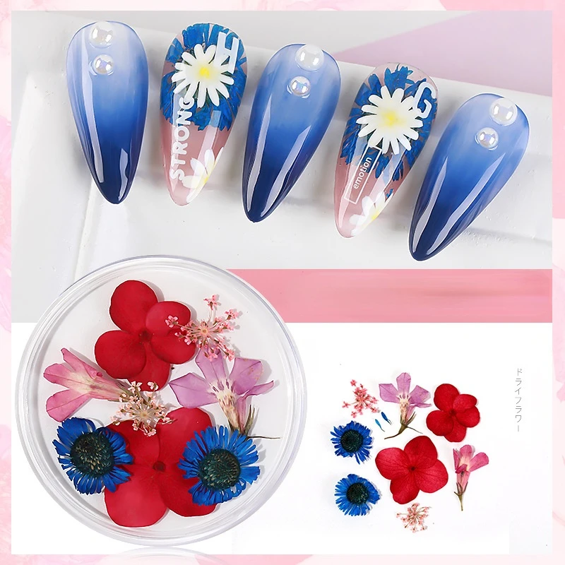 

1Box Mix Dried Flowers Nail Decoration 3D Natural Dry Flower Stickers DIY Creativity Nail Art Decals Polish Manicure Accessories