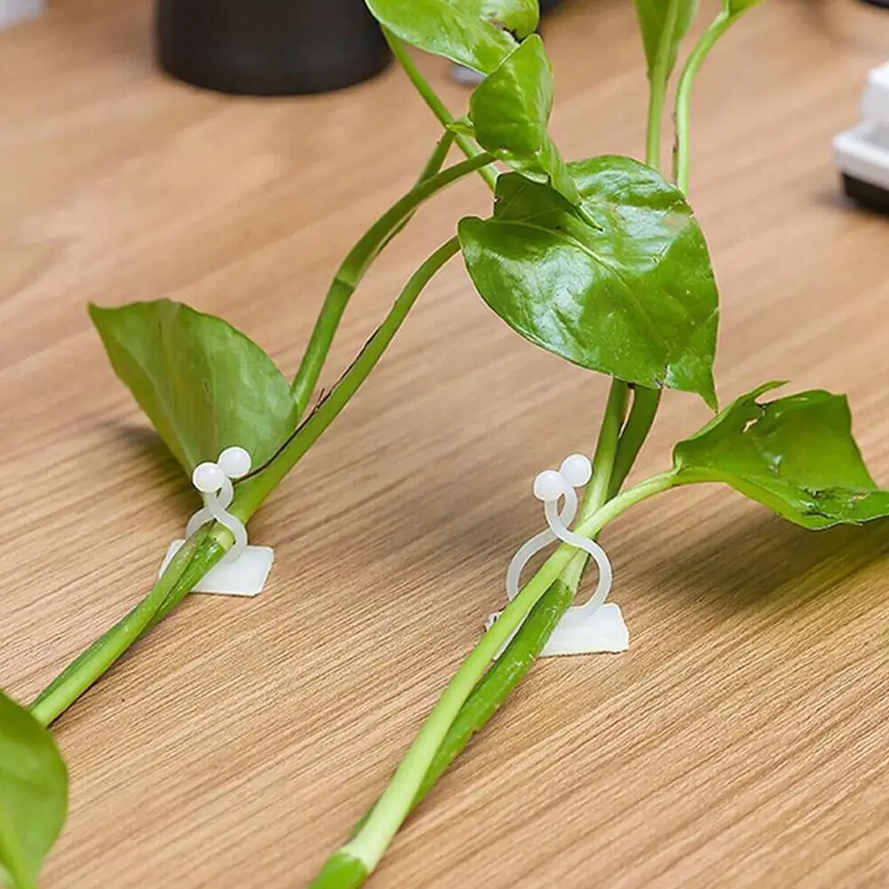 

10 шт., самоклеящиеся зажимы для подъема растений, I5i7