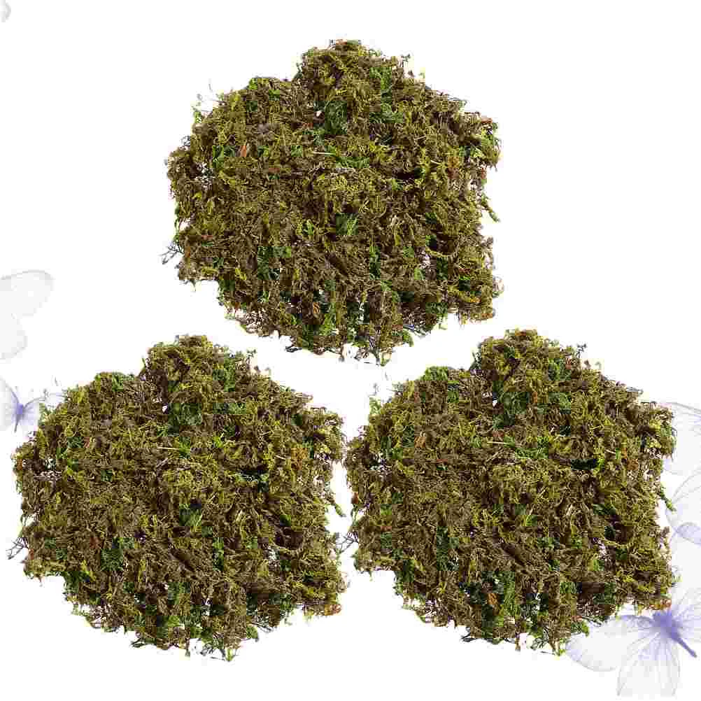 

Fake Greenartificial Forfaux Preserved Simulation Garden Pot Flower Dried Craft Diy Floral Lichenpotted Crafts Decor Decorative