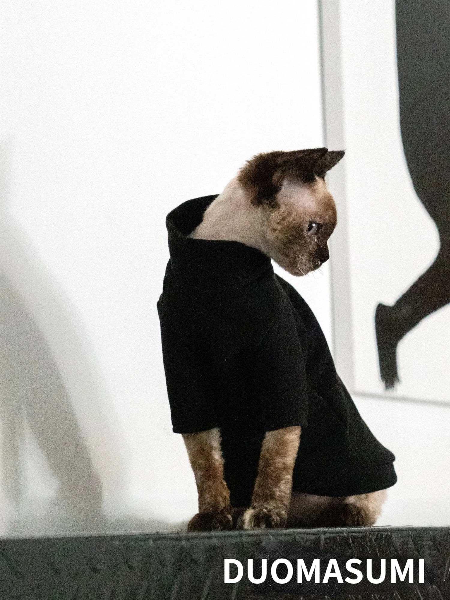 В наличии чистая одежда для кошек без волос теплая зимняя плотная катионная