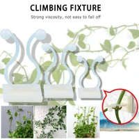 3 size 2 colors invisible wall rattan clamp clip plant climbing wall clip wall vines fixture wall sticky hook holder dropship