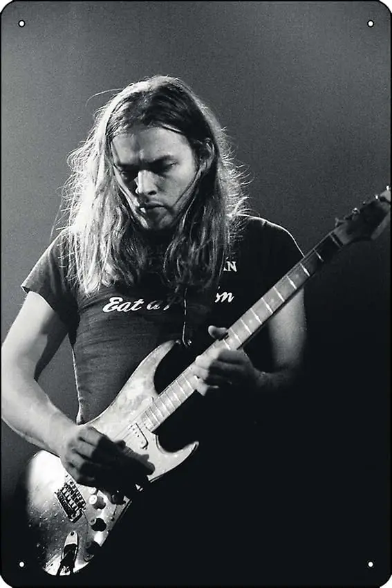 Постер для концерта Gilmour металлический жестяной знак 12X8 дюймов забавная мужская