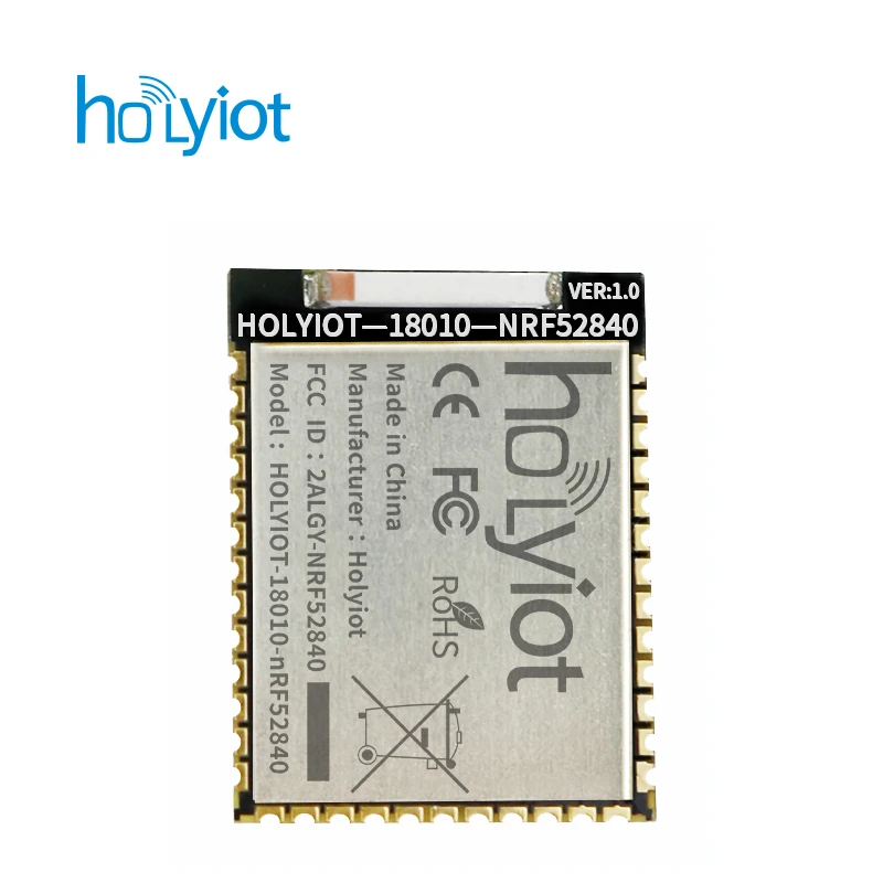 

Holyiot 18010 Bluetooth 5.0 Модуль