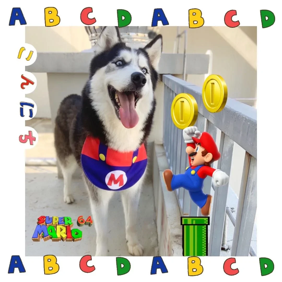 

Super Mario Theme Kawaii Pet Bib Anti-drool Scarf Three Layers Thickened Cute Bib for Cats and Dogs Decorated for Christmas Gift