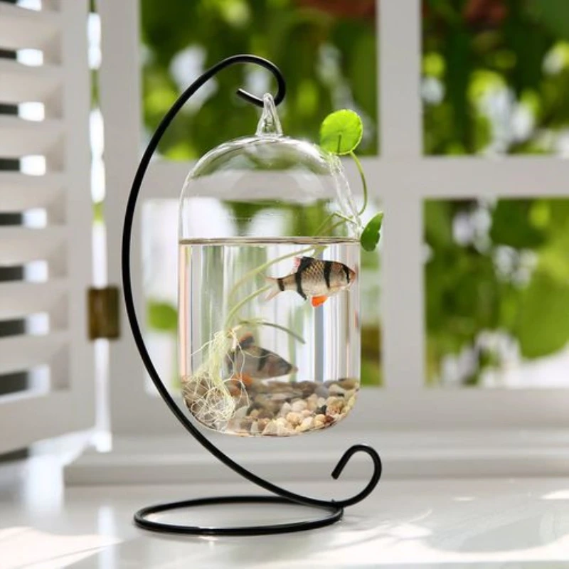 

Hanging Mini Fish Tank Black Rack Creative Glass Goldfish Tank Aquarium Household Bucket Fish Tank With Sand Conch Shell Plants