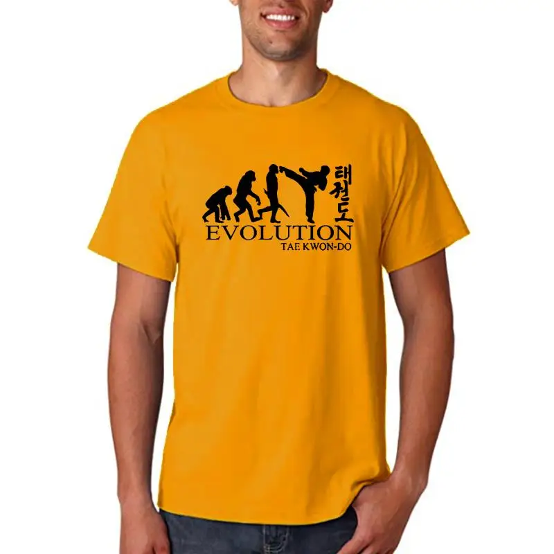 Футболка для тхэквондо Эволюция Тхэ Квон до тхэквон Боевые искусства ММА серый