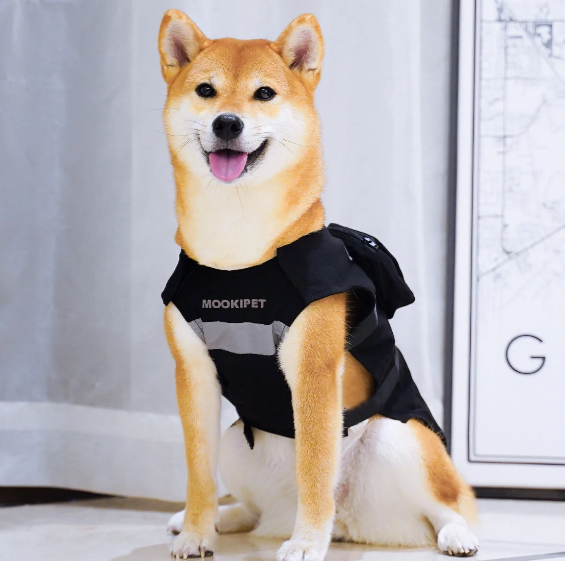 

Spring and summer pet clothes functional reflective vest black vest pet cat dog vest with bag