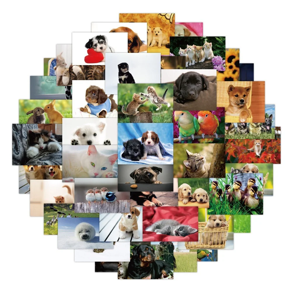 

10/30/50PCS Cartoon New Cute Animal Personality Creative Sticker Laptop Motorcycle Phone Guitar Car Waterproof Sticker Wholesale