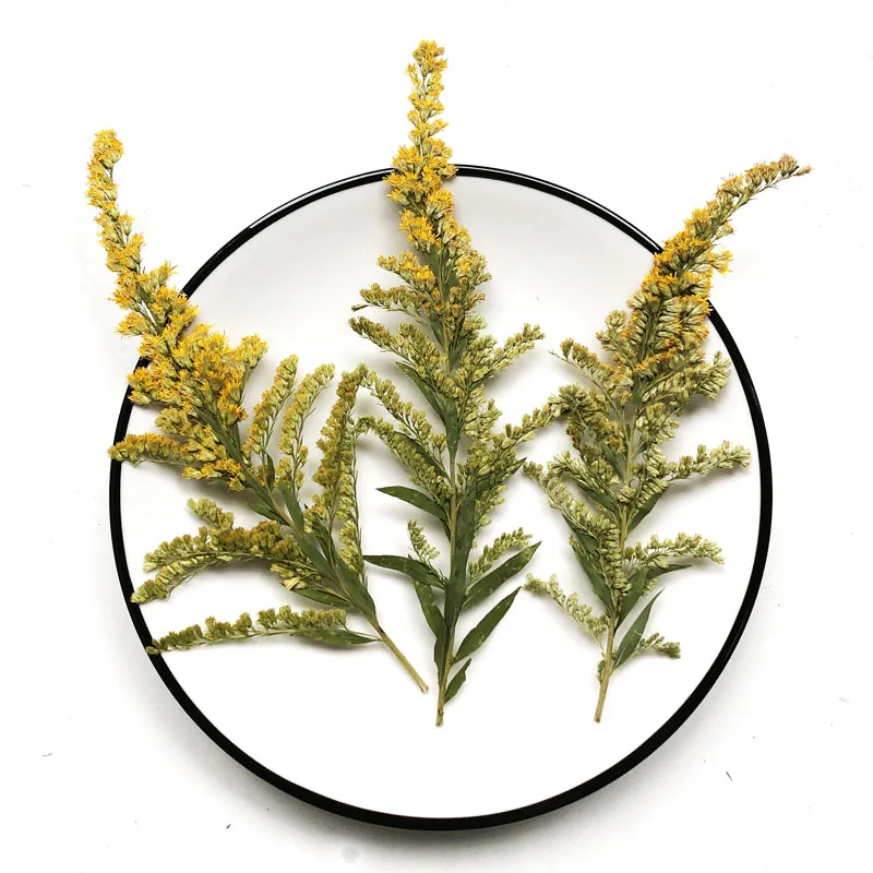 

Высушенные прессованные цветы, 60 шт., украшения для телефона, закладки, пригласительные открытки, сделай сам