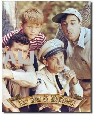 Энди Гриффит шоу Men of Mayberry Cast ретро классический ТВ настенный художественный