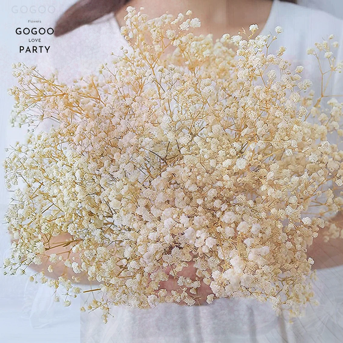 

Natural Fresh Dried Preserved Flowers Gypsophila paniculata,Baby's Breath Flower bouquets gift for Wedding Decoration,Valentines