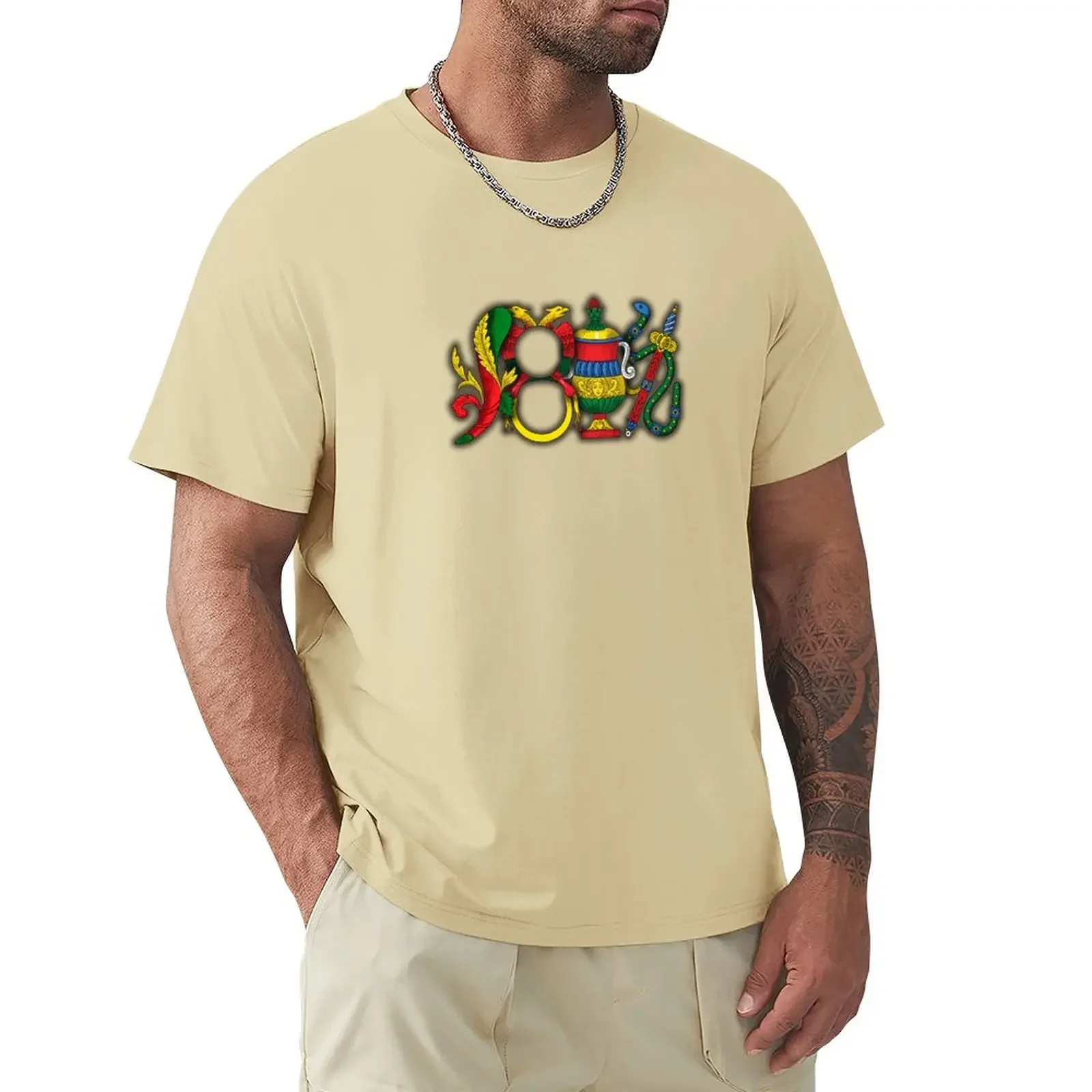 Эстетическая одежда летняя винтажная мужская футболка графические итальянские