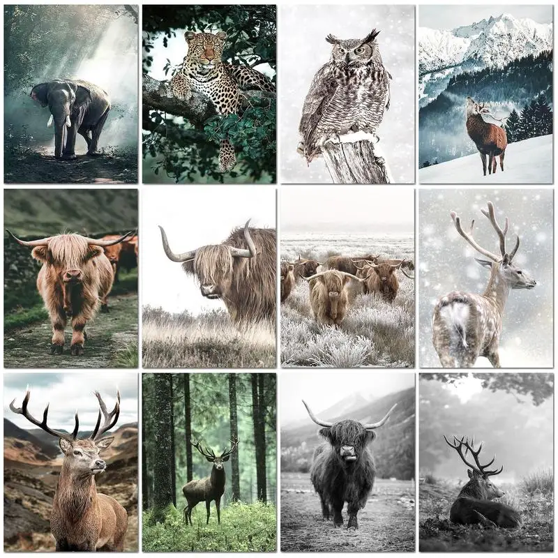 

CHENISTORY acrylic painting by numbers kit with frame for adults Kit 40x50cm Frameless Paint By Number Animal For Home Decor