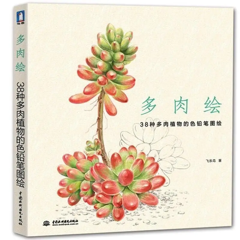 38 kinds of Succulent Plants Chinese pencil drawing book painting color pencil drawing art book Tutorial art book