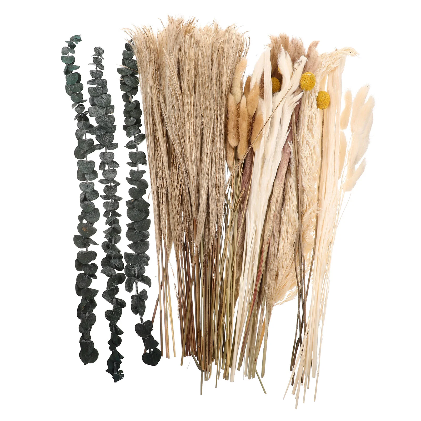 

Dried Flower Bouquet Flowers Bunny Tail Decor Lavender Natural Farmhouse Reed Rabbit Pampas Tails Bundle Bunch Wedding