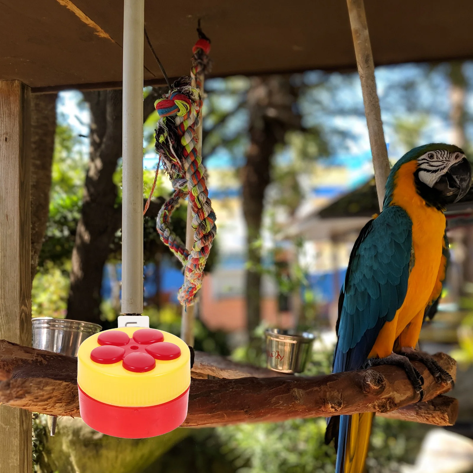 

4 Pcs Garden Bird Food Container Plastic Feeders Parts Clip Ins Containers Adorable Pigeon