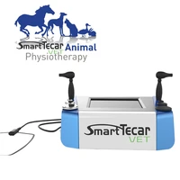 animal physiotherapy tecar machine for muscle overload pain relife