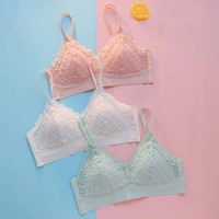 wasteheart new sexy women blue pink wireless lace padded bras push up female bras bralette cup a b underwear seamless