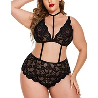 lenceria sensual mujer multi style lace bdsm bra dropshipping women floral transparent lace bra panty lingerie sexy underwear