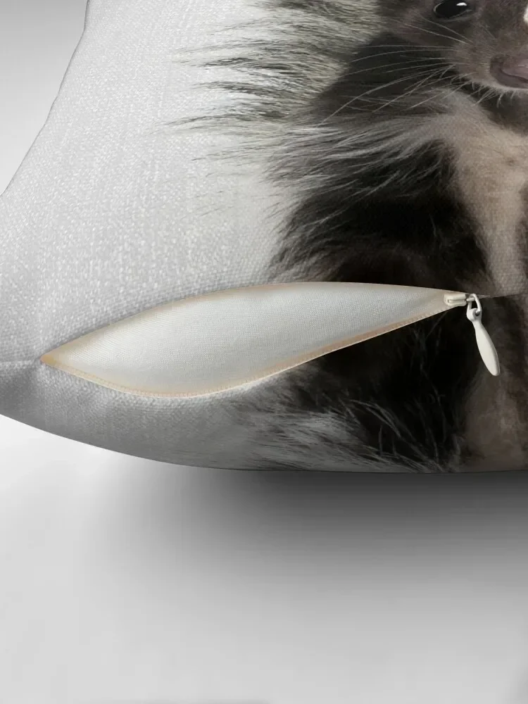 Skunk-красочные диванные подушки диванная подушка наволочка