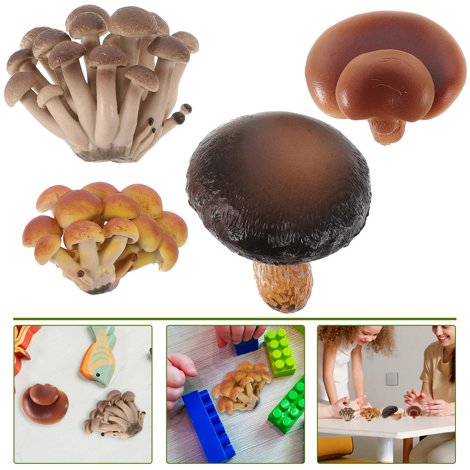

4 Pcs Mushroom Growth Cycle Models Puzzle Kid Toys Agaric Cognitive Growing Kid Kid Kids Kid Kids Miniature Kid