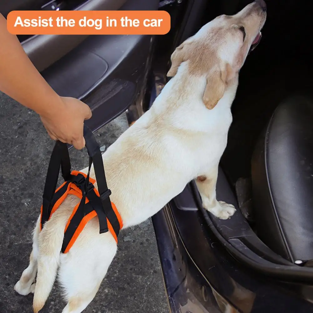 

Pet Rehabilitation Accessory Adjustable Dog Sling Supportive Leg Belt for Elderly Injured Arthritic Dogs Pet Auxiliary Belt